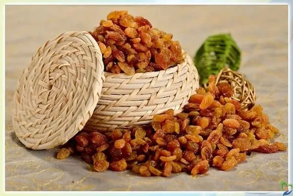 قیمت و خرید کشمش قلمی زرد تاکستان + فروش ارزان